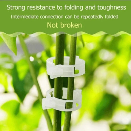 Plant Support Clips