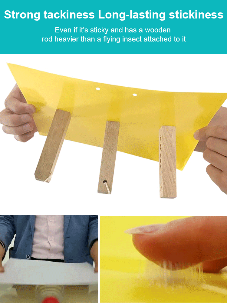 Double-sided Insect Trap and Insecticide Board (🎁10Pcs/Set)
