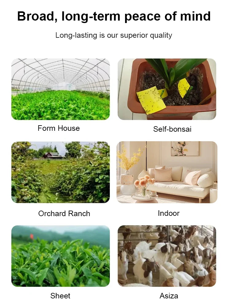 Double-sided Insect Trap and Insecticide Board (🎁10Pcs/Set)