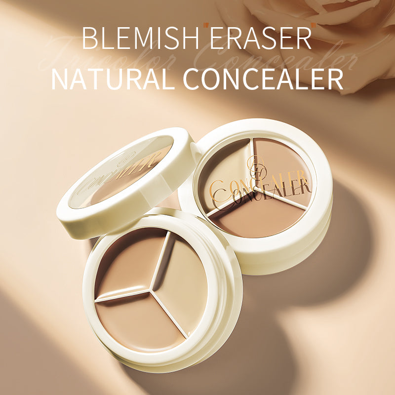 Dimors Luxury Waterproof Concealer Palette