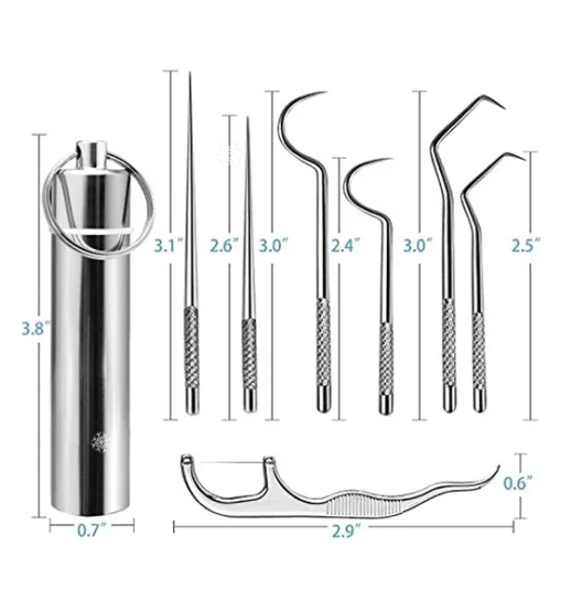 🔥Stainless Steel Toothpick Set🚀Cash On Delivery