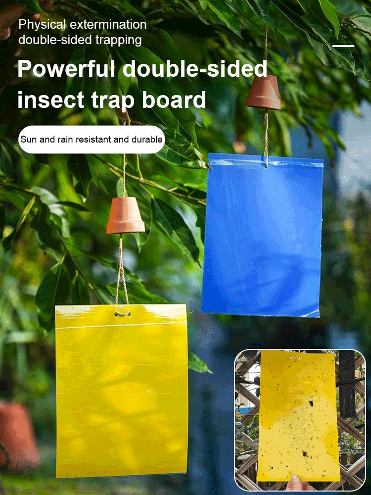 Double-sided Insect Trap and Insecticide Board (🎁10Pcs/Set)