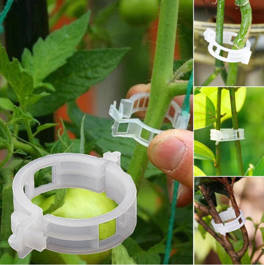 Plant Support  Clips