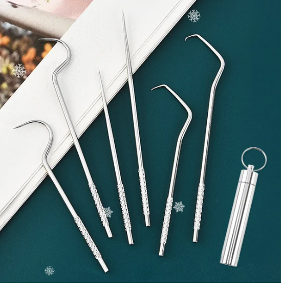 🔥Stainless Steel Toothpick Set🚀Cash On Delivery