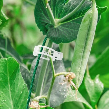 Plant Support  Clips