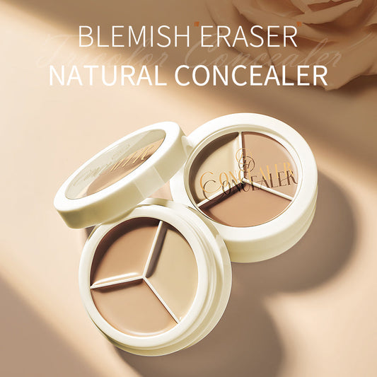 Dimors Luxury Waterproof Concealer Palette