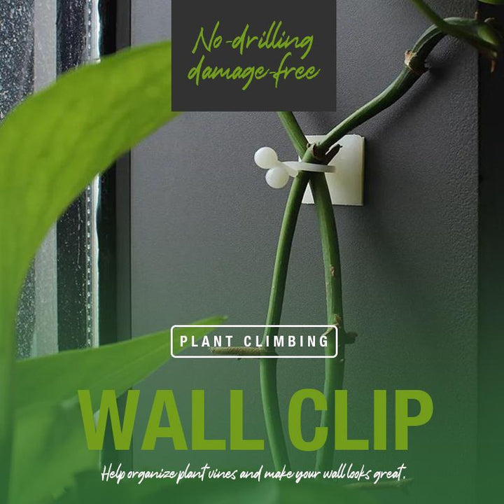 Plant Climbing Wall Clip(40Pcs/Set)