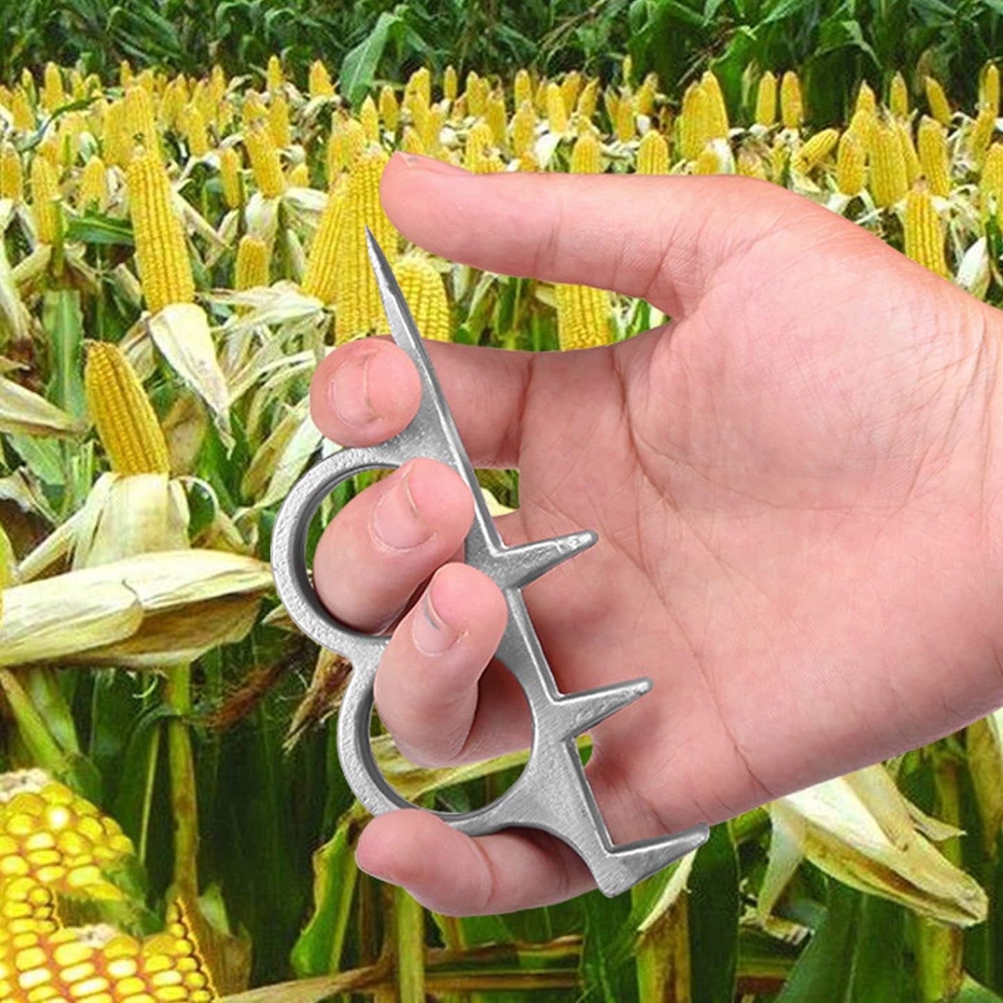 New Arrival🔥Corn husking tool